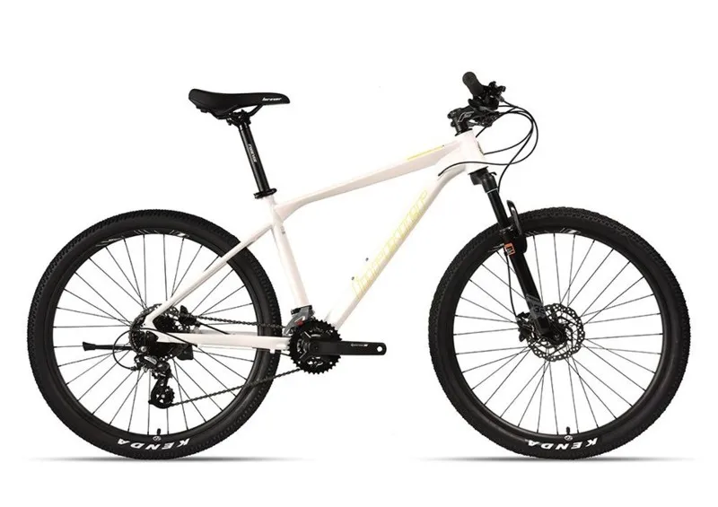 Mountain Bike Adult