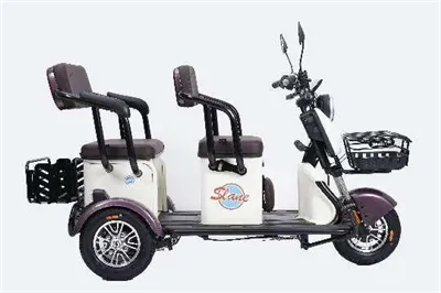 Električni bicikl sa triciklom